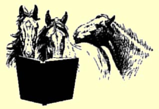 Horses Reading